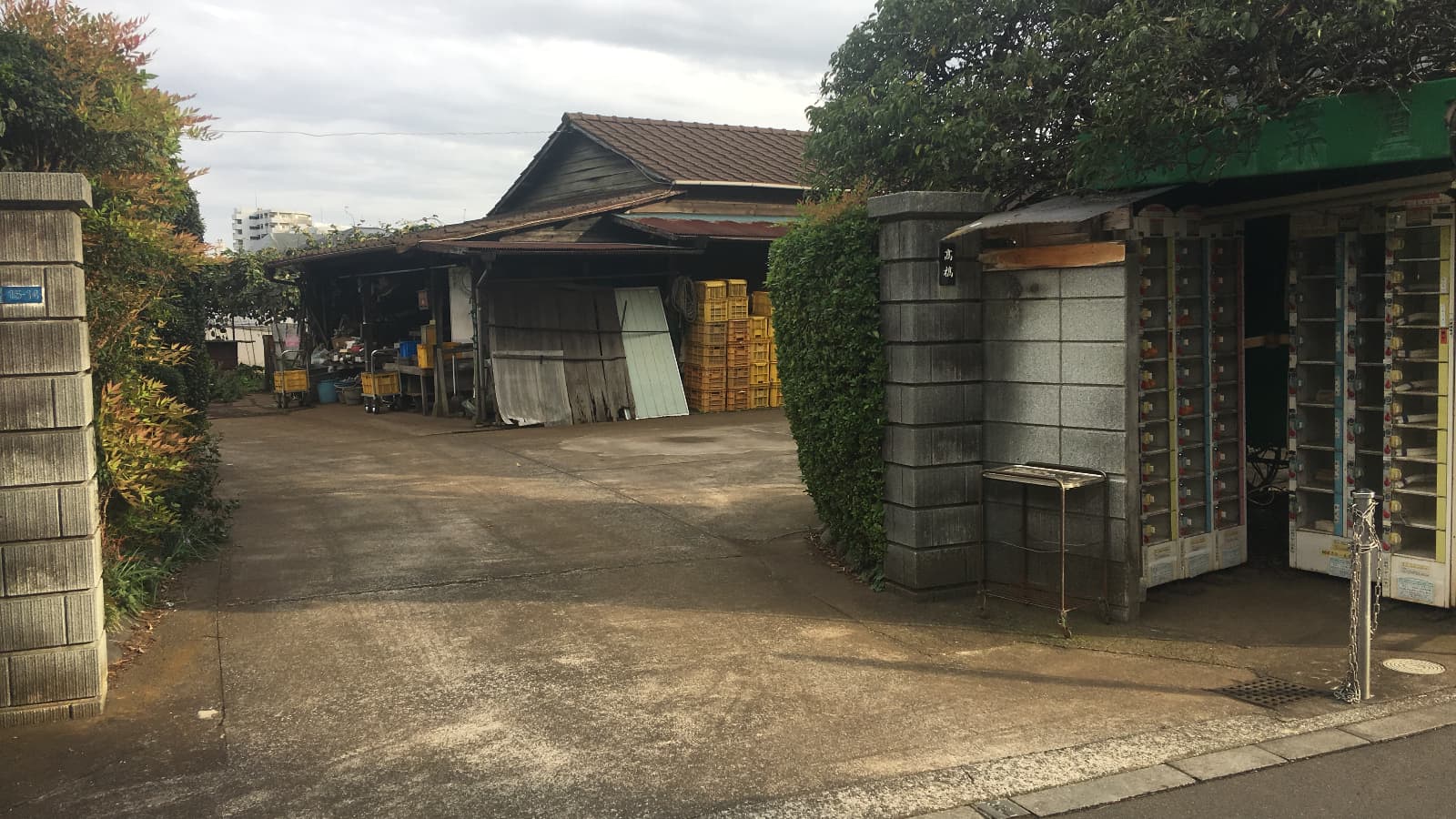 A Tokyo urban farm that sells fresh vegetables from a vending machine.