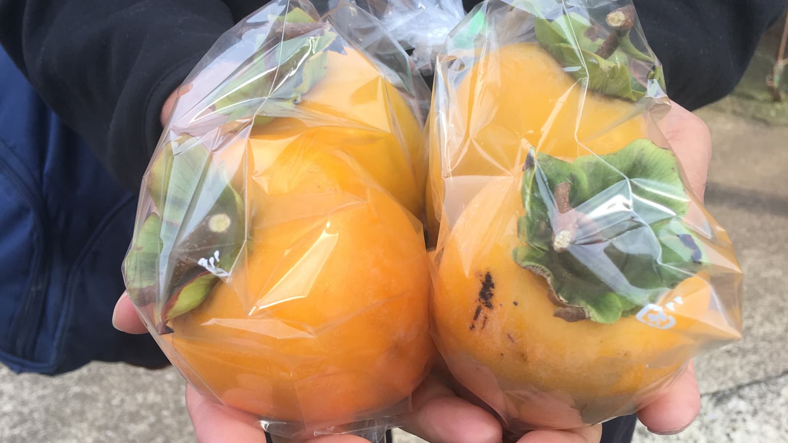 A handful of persimmons sold from a vending machine from a Tokyo urban farm.
